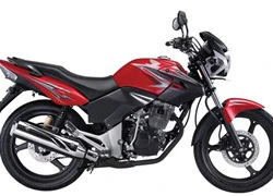 Honda ngừng sản xuất xe thể thao giá rẻ Tiger