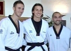 Ibrahimovic từng thách đấu thầy dạy Taekwondo