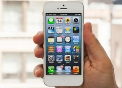 iPhone 5 là chiếc iPhone phổ biến nhất trên thế giới