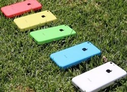 iPhone 5c còn ế 3 triệu chiếc, giá bán có thể giảm