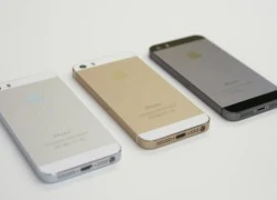 iPhone 6 có thể cảm ứng với thời tiết