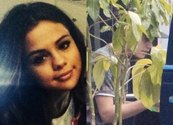 Justin Bieber hôn Selena Gomez trong lúc chơi bắn súng