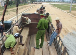 Không bằng lái, chở gỗ lậu từ Nam ra Bắc