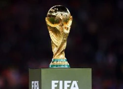 Lạ lùng cây nấm trông giống hệt cúp vàng World Cup