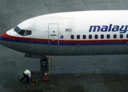 Máy bay Malaysia Airlines bị vỡ kính buồng lái vì chim