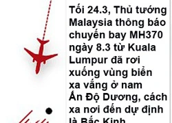 MH370 rơi xuống vùng biển nam Ấn Độ Dương: Nghi phi công tự sát