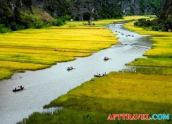 Mùa xuân trẩy hội chùa Bái Đính - Ninh Bình