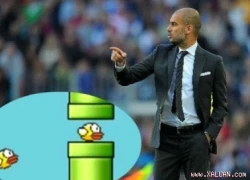 Pep Guardiola và cơn nghiện Flappy Bird