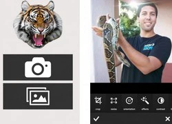 Phần mềm chụp ảnh tự sướng &#8220;ngầu&#8221; cho Windows Phone, iPhone