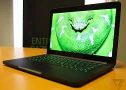 Razer Blade laptop màn hình 14 inch nét nhất thế giới