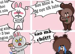 Siêu chế: Gấu Brown và thỏ Cony (P28)