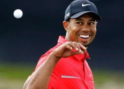 Tiger Woods sắp phải hầu tòa?