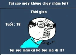 Truyện tranh troll vui phần 556