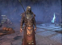 11 điều nên biết khi chơi The Elder Scrolls Online