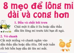 8 mẹo để lông mi dài và cong hơn