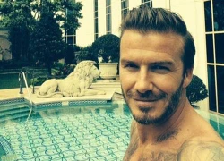 Ảnh tự sướng của Becks hot nhất tuần