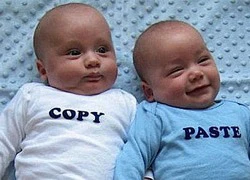 Ảnh vui: Copy and paste