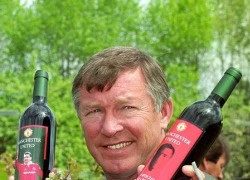 Bán rượu, Sir Alex kiếm cả trăm tỷ