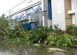 Bão lũ, hạn hán năm nay sẽ "nhẹ nhàng" hơn 2013