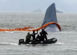 Bắt khẩn cấp thuyền trưởng phà Sewol