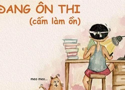 Cách đầy lùi stress hiệu quả khi ôn thi