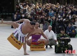 Cao thủ Sumo biểu diễn chào năm mới