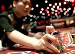 Có nên &#8216;xã hội hóa&#8217; casino!