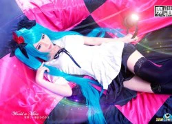 Cosplay ca sỹ ảo Hatsune Miku xinh như mộng