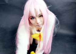 Cosplay miêu nương đáng yêu