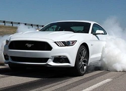 Đốt lốp trên Ford Mustang 2015, ai cũng có thể thực hiện