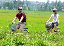 Du khách ngoại say mê đồng lúa Việt Nam