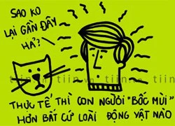 Fun facts: Con người 'bốc mùi' hơn động vật