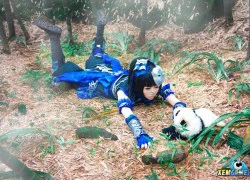 Gấu trúc cực đáng yêu trong cosplay Kiếm Võng Tam