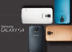 Hai phiên bản Galaxy S5 đọ sức mạnh