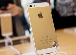 iPhone 5s, 5c khóa mạng giá rẻ tràn về Việt Nam