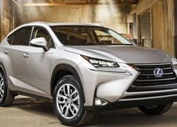 Lexus NX 2015 lộ diện, bán ra thị trường vào mùa thu