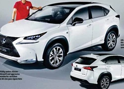 Lexus NX - SUV hạng sang cỡ nhỏ mới