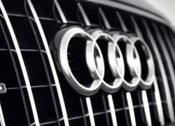 Lộ tin Audi sản xuất mẫu SUV hoàn toàn mới