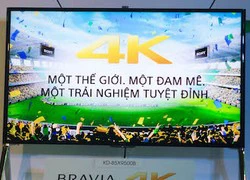 Loạt TV Bravia 2014 của Sony tại Việt Nam