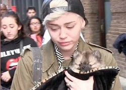 Miley Cyrus sức khỏe chuyển biến xấu có nguy cơ bị đột quỵ cao