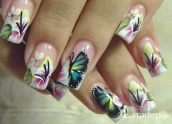 Nail họa tiết cánh bướm sành điệu