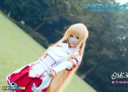 Nàng kiếm sỹ tỏa nắng trong Sword Art Online