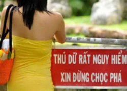 Nào anh em ta cùng nhau "chém" theo chiều gió