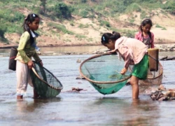 Những đứa trẻ mưu sinh trên dòng Sê Pôn