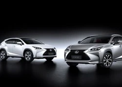 Những hình ảnh mới nhất của Lexus NX