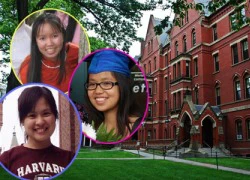 Những sinh viên Việt nổi như cồn tại Harvard