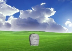 Những thống kê cho thấy sự lạc hậu của Windows XP