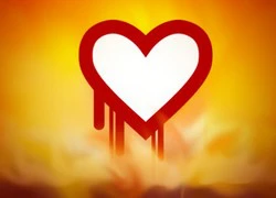 Ông lớn công nghệ bắt tay ngăn ngừa &#8220;Heartbleed&#8221; thứ 2 trong tương lai