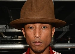 Pharrell Williams ngồi ghế nóng The Voice Mỹ