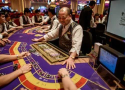 Phó Chủ tịch Quốc hội ủng hộ cho người Việt chơi bạc ở casino